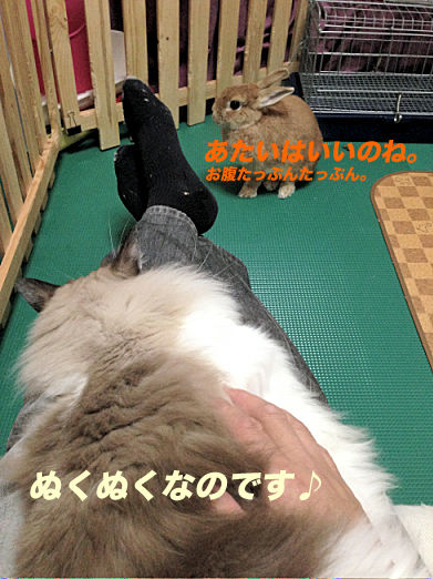 45のコピー