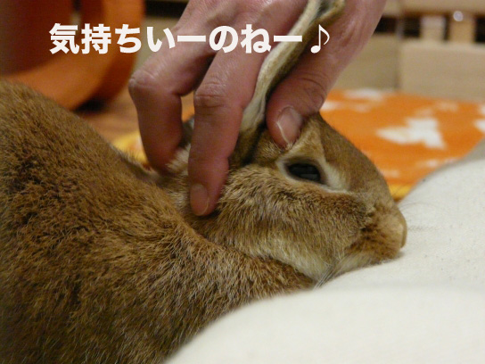 P1030296のコピー