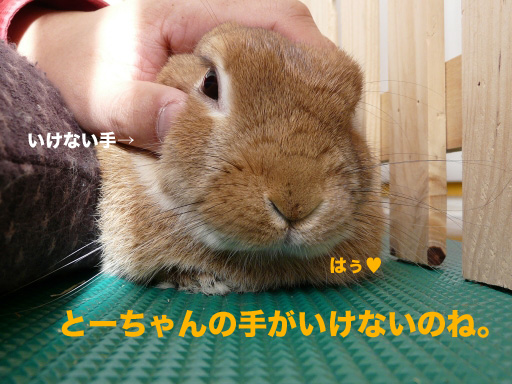 P1080977のコピー