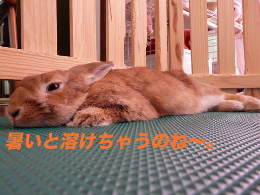 P1110299のコピー