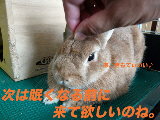 P1110240のコピー