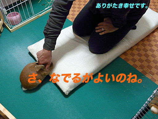 P1120743のコピー