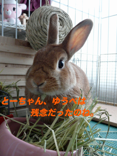 P1100753のコピー