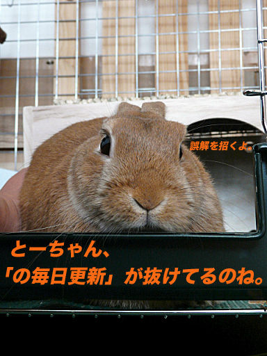 P1120724のコピー