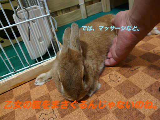 P1110800のコピー
