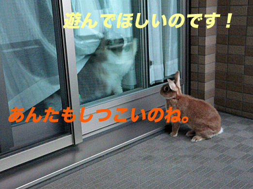 P1160185のコピー