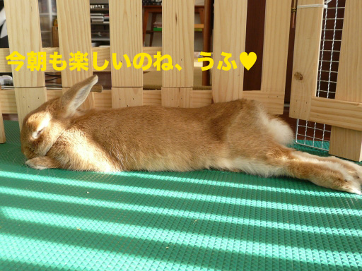 P1060936のコピー