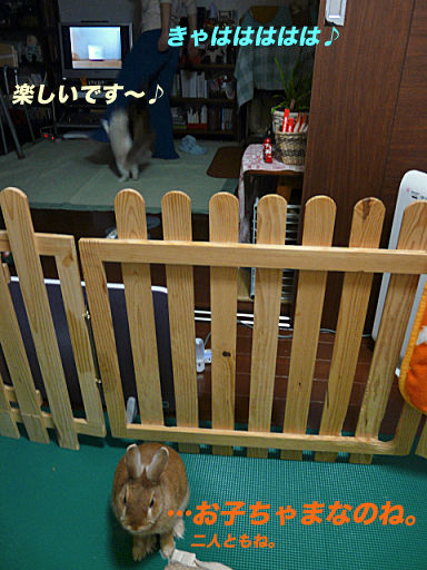 P1120762のコピー