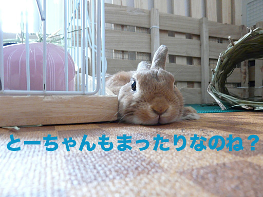 P1050251のコピー