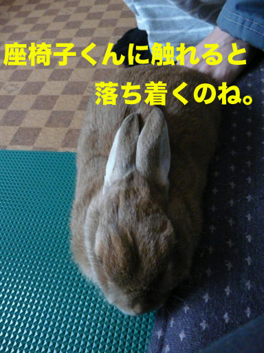P1080189のコピー