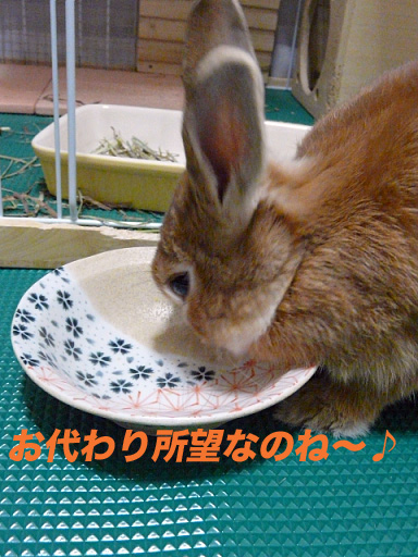 P1110291のコピー