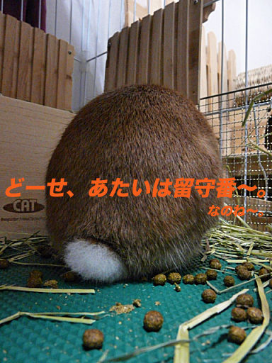 P1120708のコピー