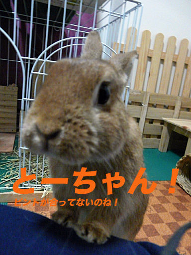P1120830のコピー