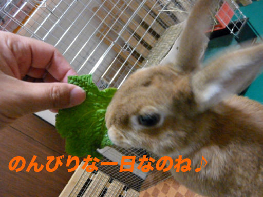 P1130405のコピー