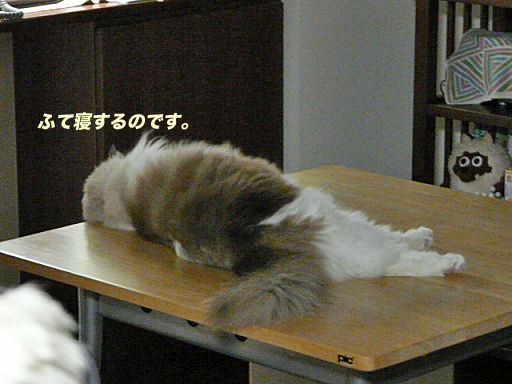 P1150375のコピ