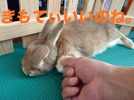 P1110430のコピー