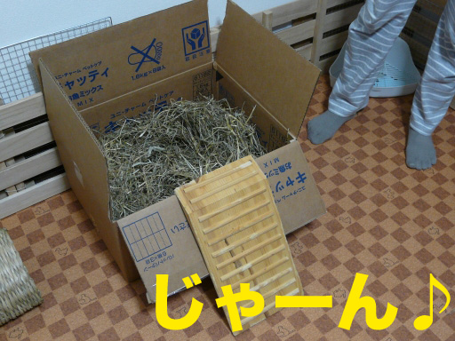 P1080459のコピー