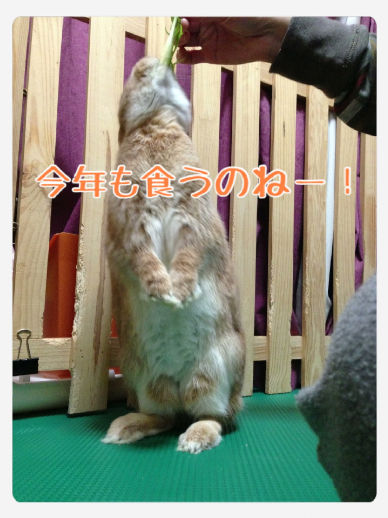 写真 1