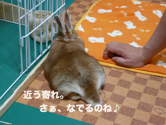 P1030556のコピー