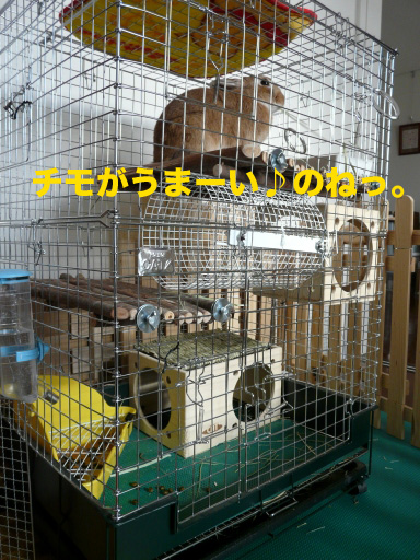 P1080679のコピー