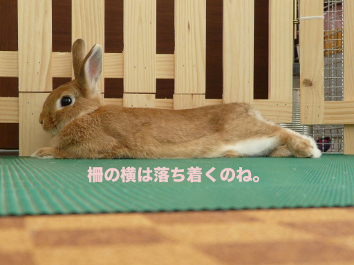 P1050800のコピー