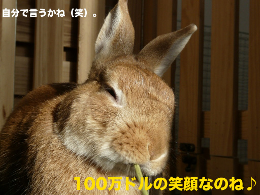 P1080670のコピー