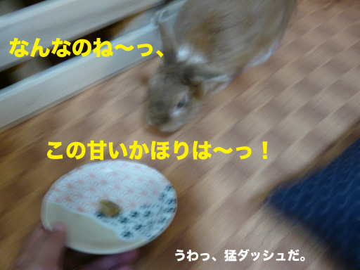 P1060664のコピー