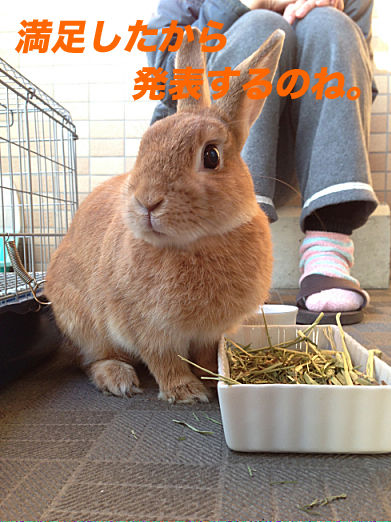 04のコピー