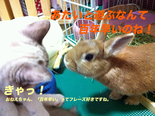 IMG_3272のコピー