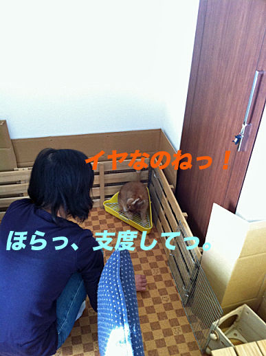 18のコピー