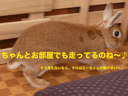 P1080070のコピー