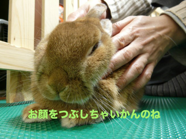 P1020976のコピー