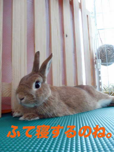 P1100176のコピー