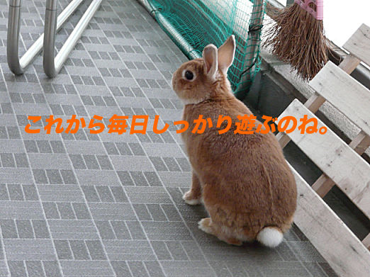 P1160389のコピー