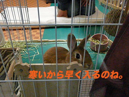 P1120606のコピー