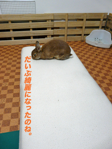 P1110405のコピー