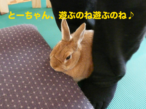 P1080573のコピー