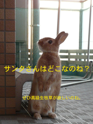 P1070786のコピー