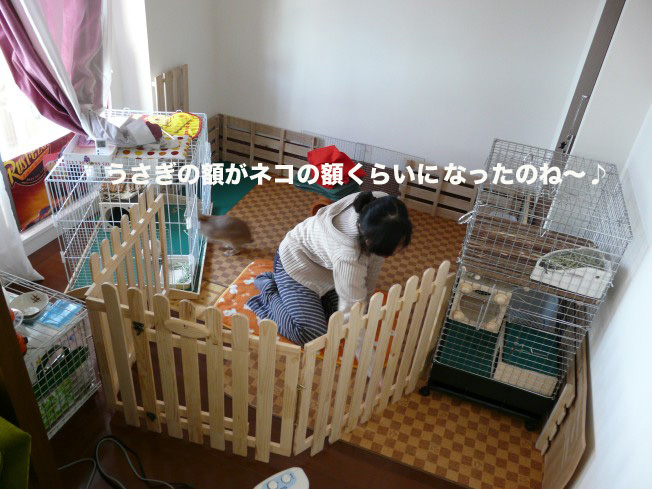 P1020722のコピー