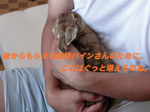 P1110309のコピー