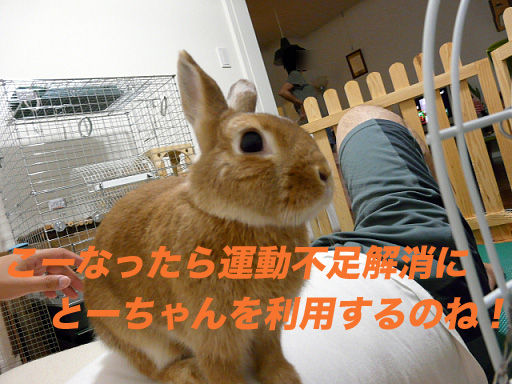 P1110871のコピー