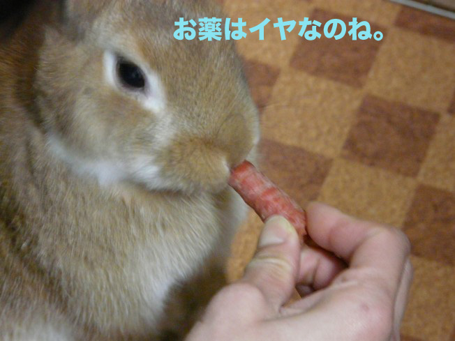 P1020996のコピー