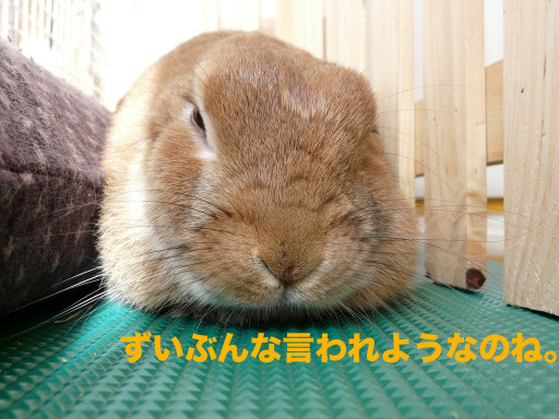 P1080978のコピー