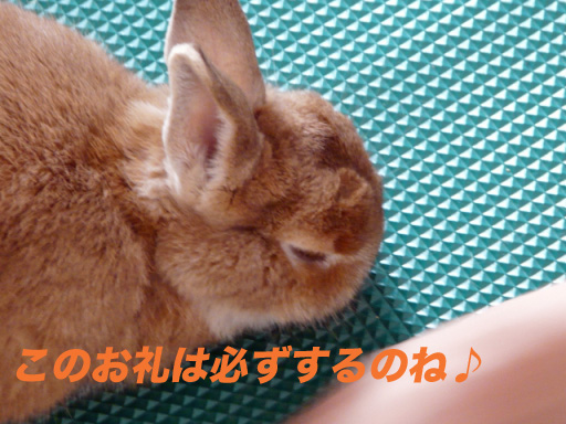 P1110445のコピー