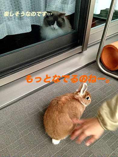 27のコピー