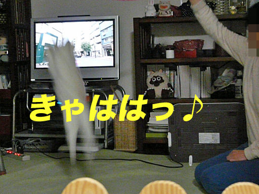 P1130235のコピー