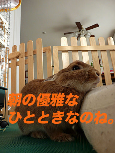P1120736のコピー