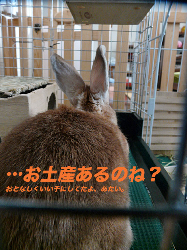 P1110391のコピー