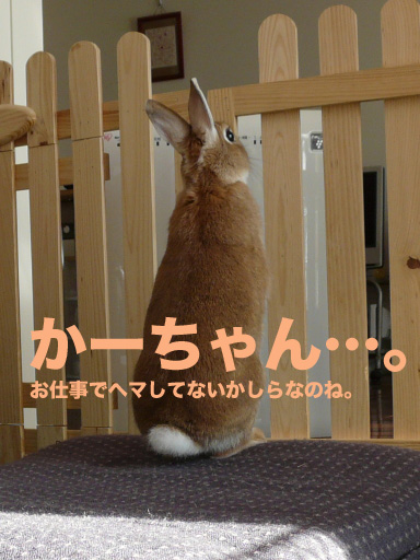P1090409のコピー