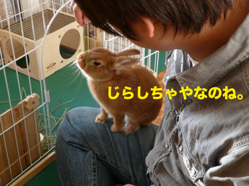 P1080275のコピー